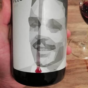 Pelo - Clos des Plantes - olivier-lejeune