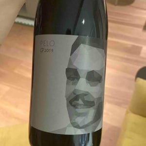 Pelo - Clos des Plantes - Olivier Lejeune 