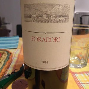 Foradori - Azienda Agricola Foradori - elisabetta-foradori
