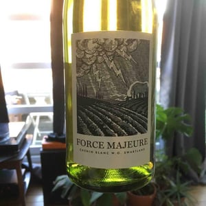 JH Meyer Signature Wines - Johan Meyer - Force Majeure