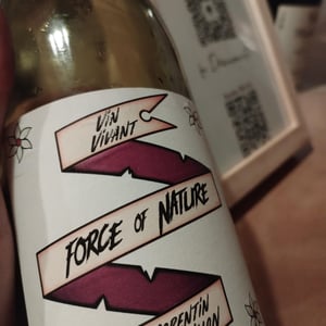 Force of Nature - HC-vins - corentin-houillon