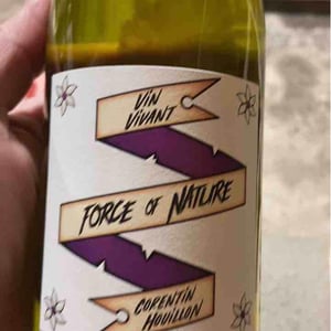 Force of Nature - HC-vins - corentin-houillon