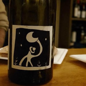 Forest Range Pinot Noir - Gentle Folk Wines - Gareth & Rainbo Belton 