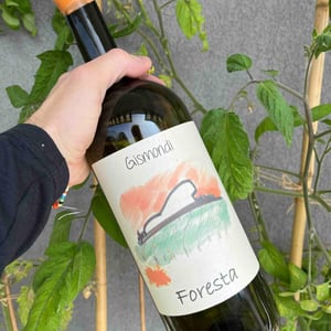 Foresta - La Vinicola di Antonio Gismondi - anabel-antonio-gismondi -2021