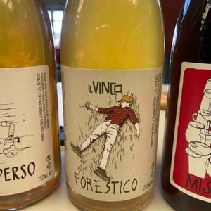 Il Vinco - Daniele Manoni, Marco Fucini & Nicola Brenciaglia - Forestico 2021
