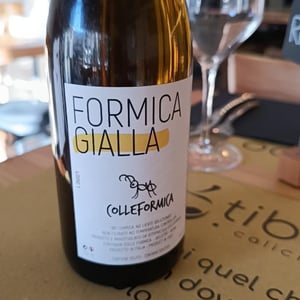 Formica Gialla - Colleformica - sergio-paulo-bombetti