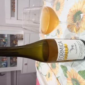 Formica Gialla 2018 - Colleformica - Sergio & Paulo Bombetti