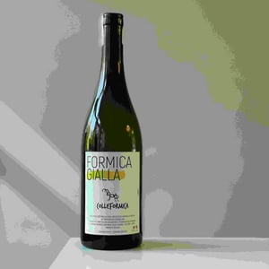 Formica Gialla - Colleformica - sergio-paulo-bombetti