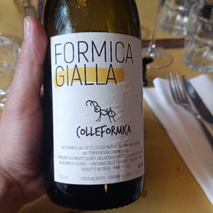Formica Gialla - Colleformica - Sergio & Paulo Bombetti 