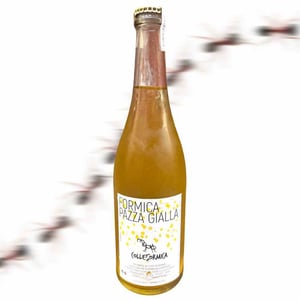 Formica Pazza Gialla - Colleformica - Sergio & Paulo Bombetti 
