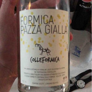 Formica Pazza Gialla - Colleformica - Sergio & Paulo Bombetti 