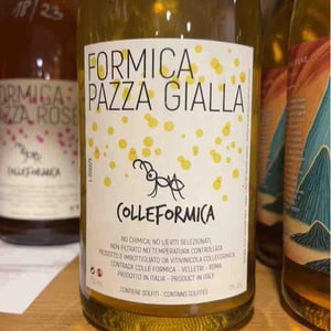 Formica Pazza Gialla - Colleformica - Sergio & Paulo Bombetti 