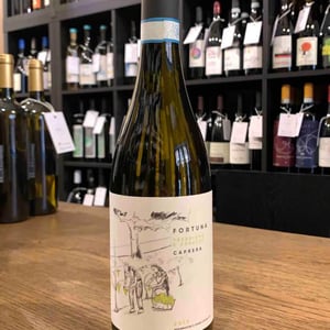 Fortuna Trebbiano d'Abruzzo - Caprera - luca-paolo-virgilio-alfonso-morelli