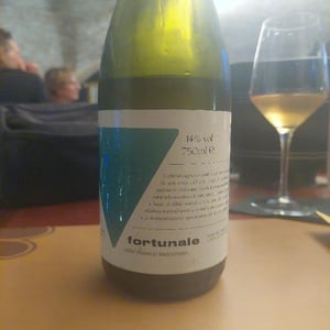 Fortunale Macerato - Quattro Elementi - francesco-longoni