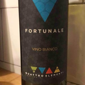 Fortunale - Quattro Elementi - Francesco Longoni 