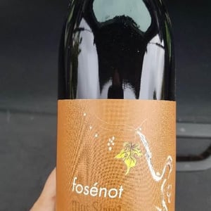 Fosénot - Mas Sibert - sara-simon-bertschinger -2017