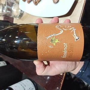 Fosénot - Mas Sibert - Sara & Simon Bertschinger -2017