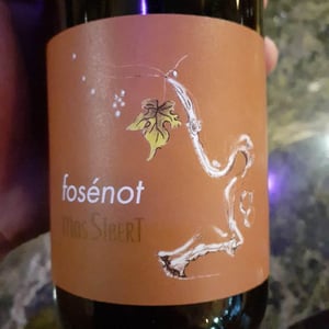 Fosénot - Mas Sibert - sara-simon-bertschinger -2017