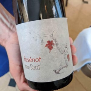 Fosénot - Mas Sibert - sara-simon-bertschinger -2017