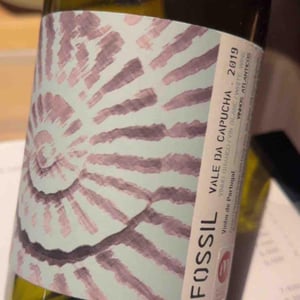 Fossil Branco - Vale da Capucha - Pedro Marques 