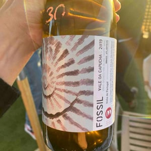 Fossil Branco - Vale da Capucha - Pedro Marques 