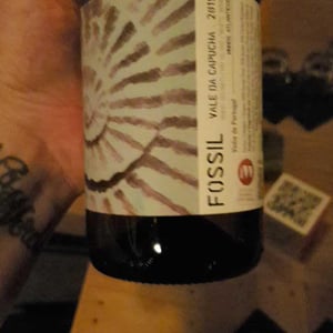 Fossil Branco - Vale da Capucha - pedro-marques