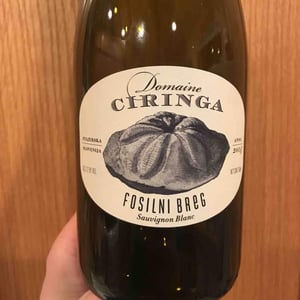 Fosilni Breg - Starjerska Slovenija - domaine-ciringa