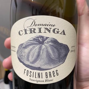 Fosilni Breg - Starjerska Slovenija - domaine-ciringa