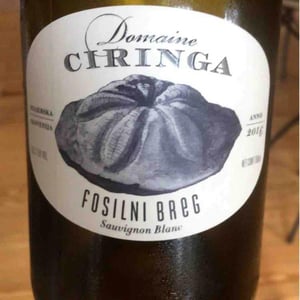 Fosilni Breg - Starjerska Slovenija - domaine-ciringa