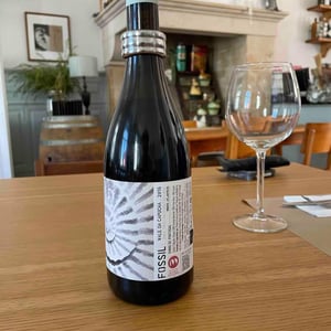 Fossil Tinto - Vale da Capucha - Pedro Marques 