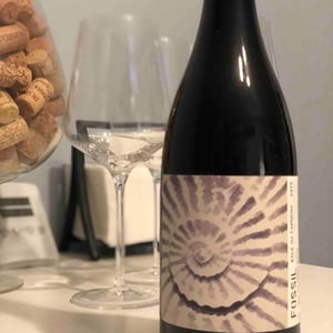 Fossil Tinto - Vale da Capucha - pedro-marques