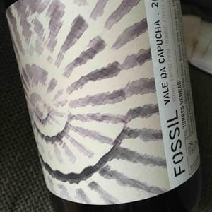 Fossil Tinto - Vale da Capucha - pedro-marques