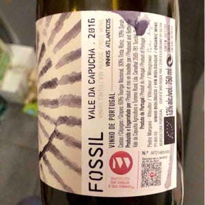 Vale da Capucha - Pedro Marques - Fossil Tinto