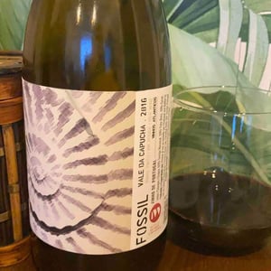 Fossil Tinto - Vale da Capucha - pedro-marques