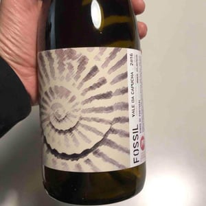Fossil Tinto - Vale da Capucha - Pedro Marques 
