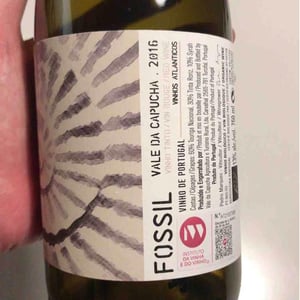Fossil Tinto - Vale da Capucha - Pedro Marques 