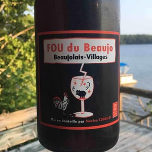 Fou du Beaujo - Damien Coquelet - Damien Coquelet 