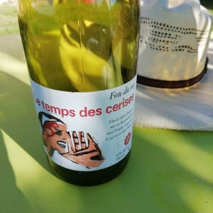 Fou du Roi - Le Temps des Cerises - axel-prufer