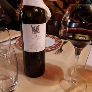Domaine des 2 Ânes - Magali Roux - Fontanilles