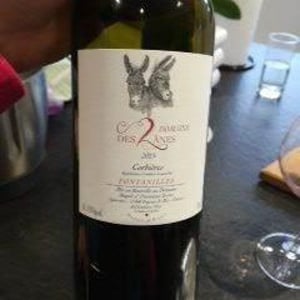 Domaine des 2 Ânes - Magali Roux - Fontanilles