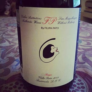 FP Baga - Filipa Pato - Filipa Pato & William Wouters 