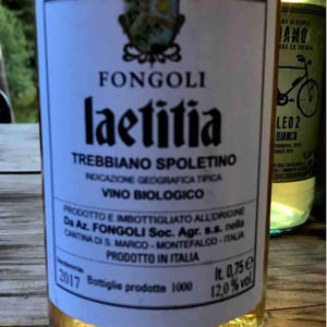 Fracanton - Fongoli - angelo-fongoli