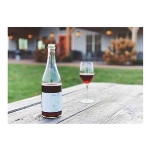 Frame Fizz - Old Westminster Winery - drew-baker