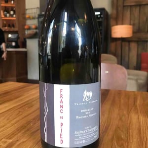 Franc de Pied - Domaine des Roches Neuves - Thierry et Louis Germain -2022