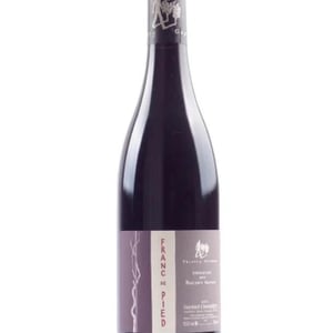 Franc de Pied - Domaine des Roches Neuves - thierry-et-louis-germain -2022