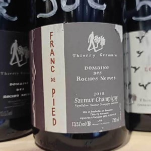 Franc de Pied - Domaine des Roches Neuves - thierry-et-louis-germain -2022