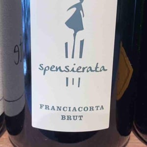 Franciacorta Brut - Cantina Spensierata - Gabriele & Cristian Zaninelli 