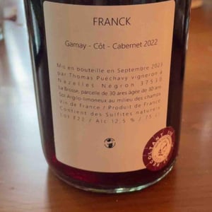 Franck - Thomas Puéchavy - thomas-puechavy -2021