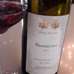 Frankovka - Dva Duby - jiri-sebela