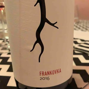 Frankovka 2016 - Vino Magula - Vladimir Magula Junior , Magula Family
